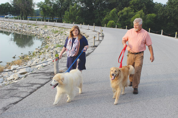 Woman and man walking dogs