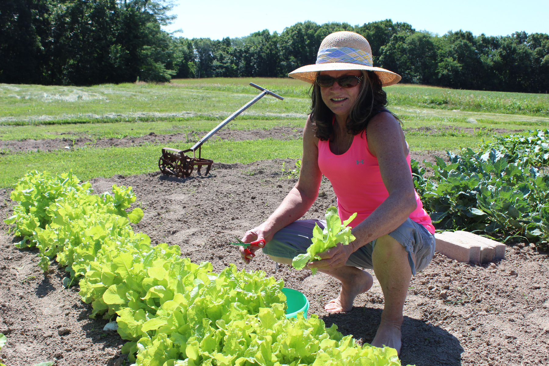 Sue Hamner gardening