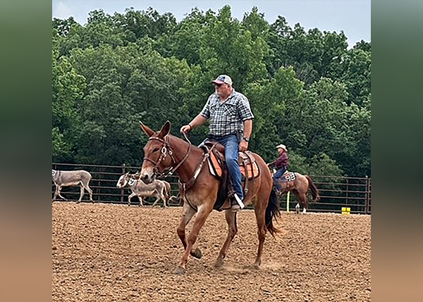 Mike Wright | Blessing Health System